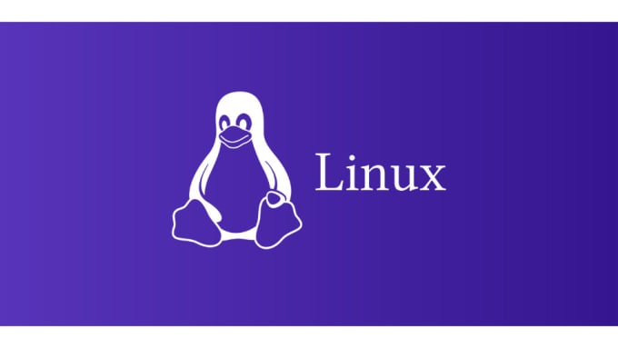 Gig Preview - Make linux shell scripts for your server