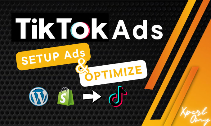 Gig Preview - Setup and run tiktok ads campaign, tiktok advertising, shopify tiktok marketing