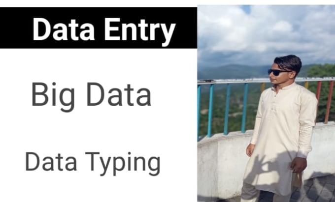 Gig Preview - Do data entry for you