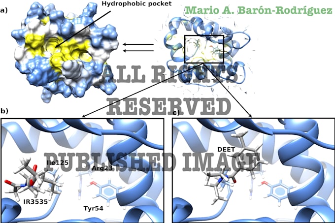 Gig Preview - Perform advanced protein ligand docking simulations