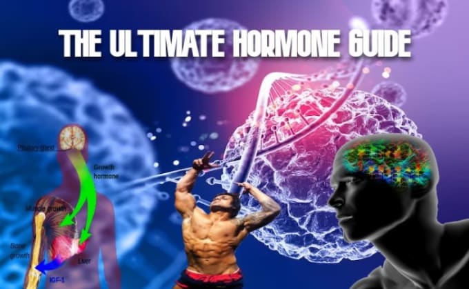 Gig Preview - Optimize your hormones function through nutrition and habits