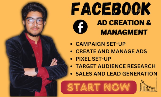 Gig Preview - Set up meta facebook leads and sales ads campaigns