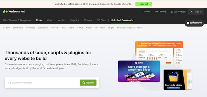 Gig Preview - Install codecanyon script, your web app or website on your vps or hosting