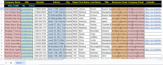 Gig Preview - Do excel data entry, cleaning, copy paste, remove duplicates, email finding