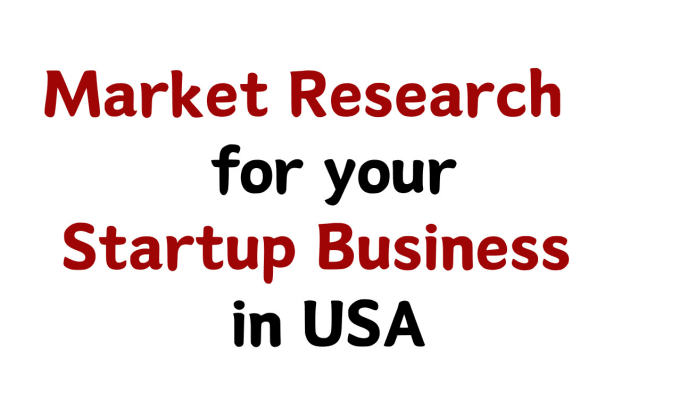 Gig Preview - Conduct complete market research for your startup business in USA