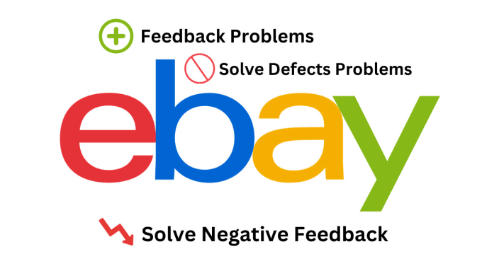 Gig Preview - Solve your ebay account defects , shipments and transaction issues