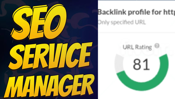 Gig Preview - Monthly off page SEO link building for your website