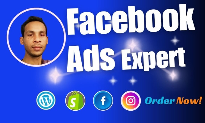 Gig Preview - Run  facebook ads campaign for maximum sales and leads