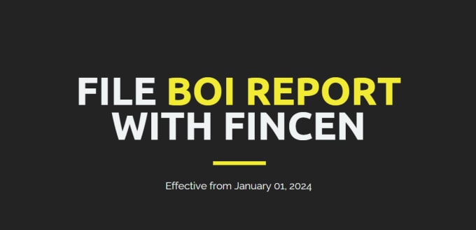 Gig Preview - File boi report for your US llc and corporation