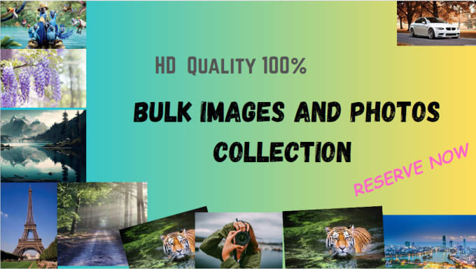 Bestseller - find any type of royalty free HD images collection  for you