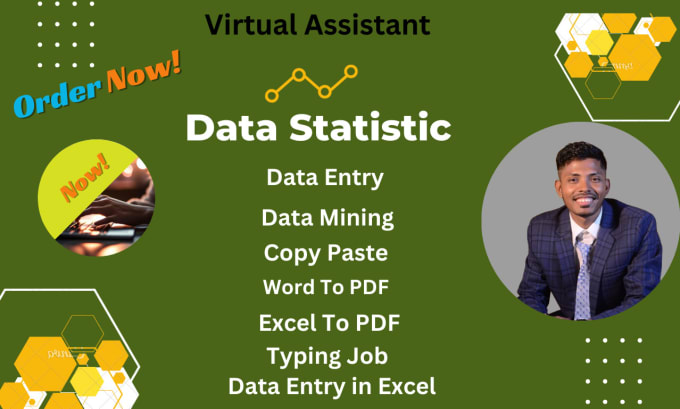 Gig Preview - Be your virtual assistant for data entry