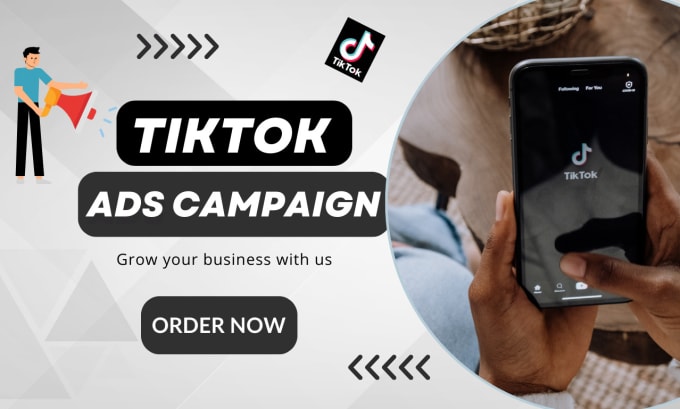 Gig Preview - Be your tiktok ads manager and grow your brand on tik tok