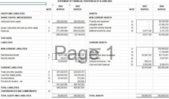 Gig Preview - Prepare balance sheet profit and loss cashflow and financial projections