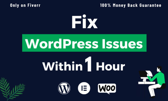 Gig Preview - Fix wordpress problems, errors, bugs and troubleshoot issues