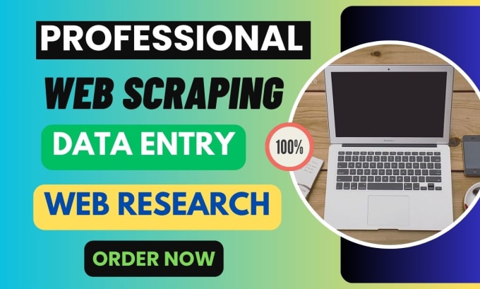 Gig Preview - Do professional web scraping and excel data entry services