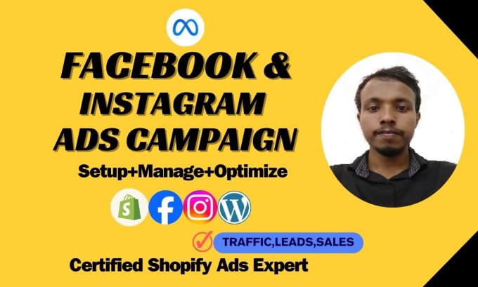 Gig Preview - Set up facebook and instagram ads for sales and leads