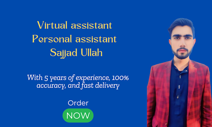 Gig Preview - Be your professional virtual assistant for any data entry