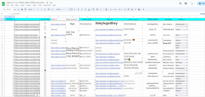 Gig Preview - Provide accurate data entry and web research