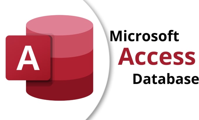 Gig Preview - Develop microsoft access  database, assignments and projects