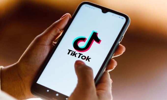 Gig Preview - Develop tik tok app, clone tik tok app for android and ios