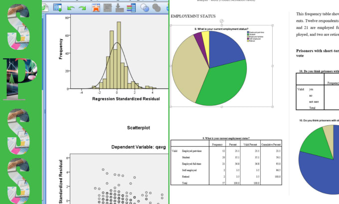 Gig Preview - Do  data analysis for spss in 24 hours