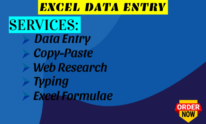 Gig Preview - Provide precise excel data entry services