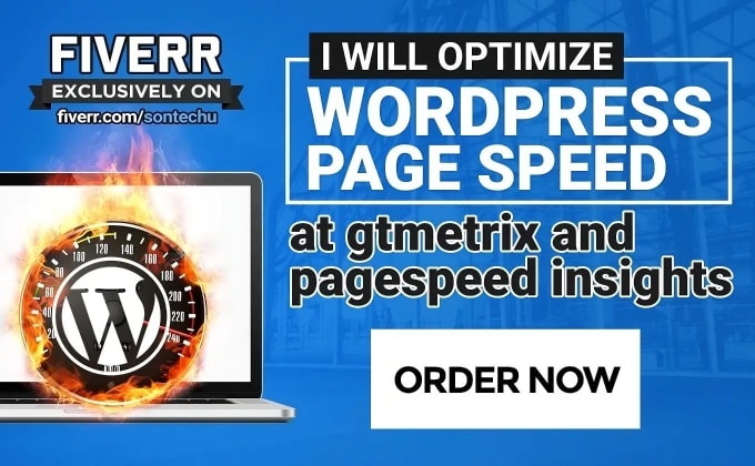 Gig Preview - Optimize wordpress core web vitals, lcp, inp, fcp, cls, speed