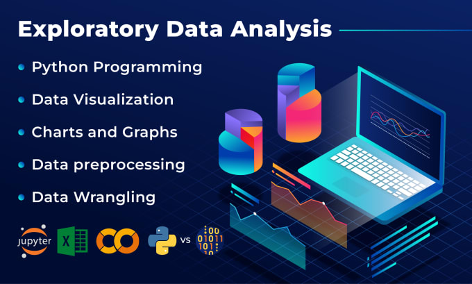 Gig Preview - Provide insightful eda services for data understanding