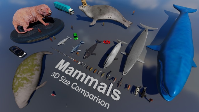 Gig Preview - 3d animation for size comparison videos for social media