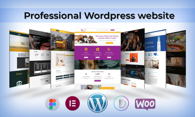 Gig Preview - Create responsive wordpress website design, blog website or website development