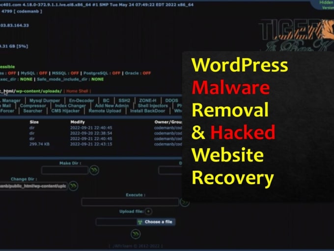 Gig Preview - Remove wordpress malware and hacked website recovered