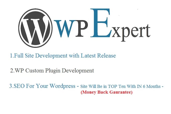 Gig Preview - Create your site with latest wordpress version