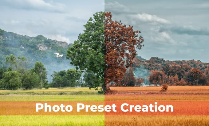 Gig Preview - Create lightroom presets and photoshop presets in 12 hours