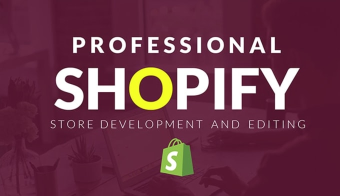 Gig Preview - Set up professional shopify store and customization