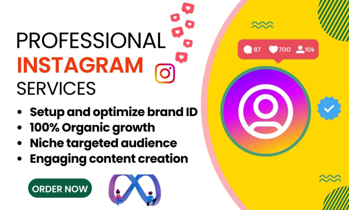 Gig Preview - Build niche based instagram buisness page and provide ig page management service