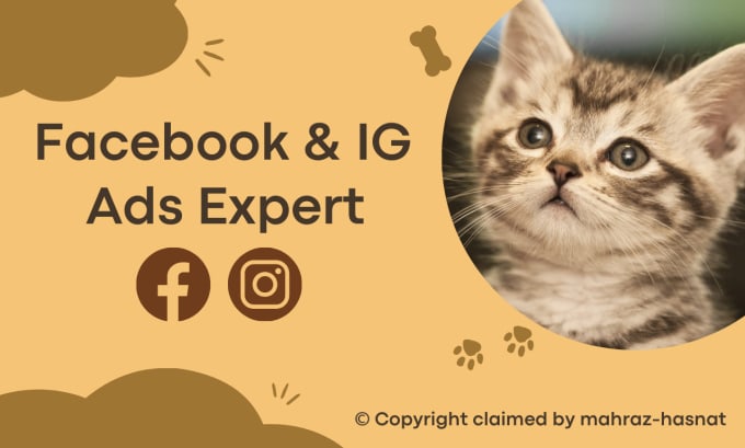 Gig Preview - Create and manage facebook and instagram ads for your pet business