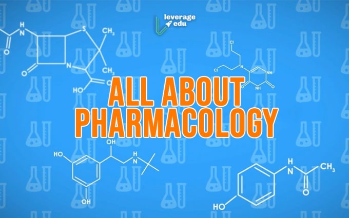 Gig Preview - Assist in pharmacology , pharmacy articles, blog posts and case studies