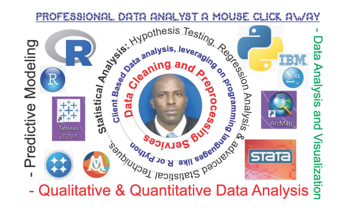 Gig Preview - Analyze your data and create compelling visualizations