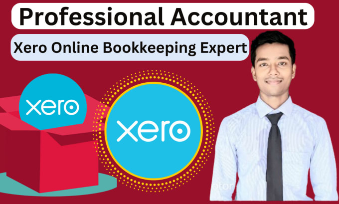 Gig Preview - Do xero bookkeeping and accounting