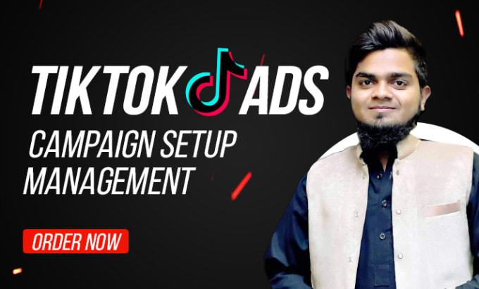 Gig Preview - Do manage tik tok ads campaign, tik tok ads manager, and tiktok advertising