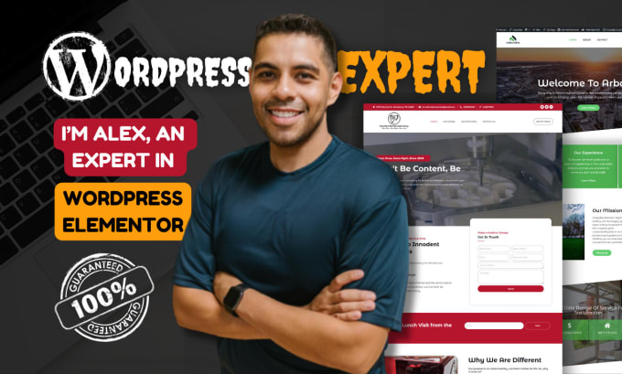 Gig Preview - Build wordpress website design with elementor pro, woocommerce store, wordpress