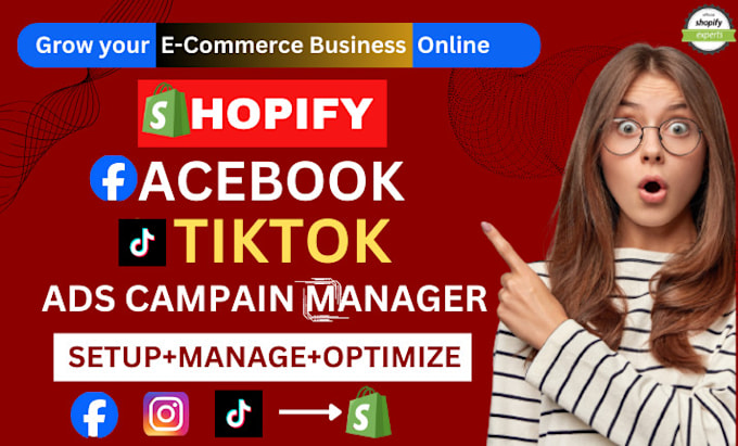 Gig Preview - Be your shopify facebook ads, fb marketing and tiktok ads campaign manager