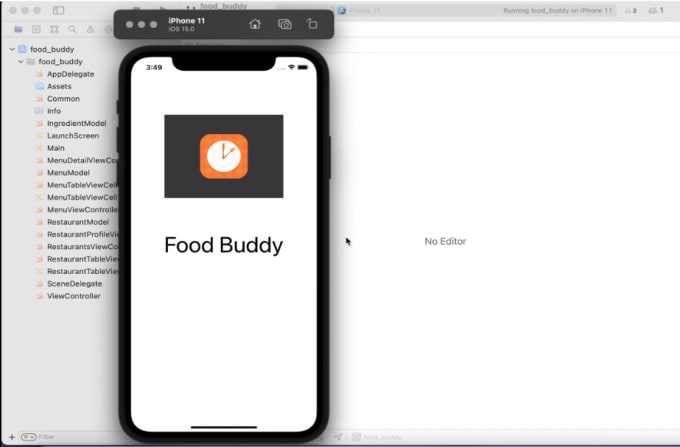 Gig Preview - Build flutter mobile app for ios and android