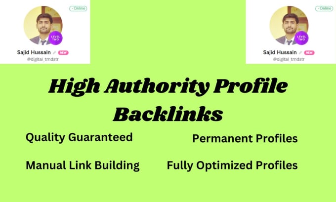 Gig Preview - Build manual high authority seo profile backlinks for off page site optimization