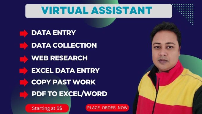 Gig Preview - Be your virtual assistant for data entry, copy paste, web research and excel