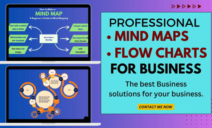 Gig Preview - Business mind map flowcharts expert