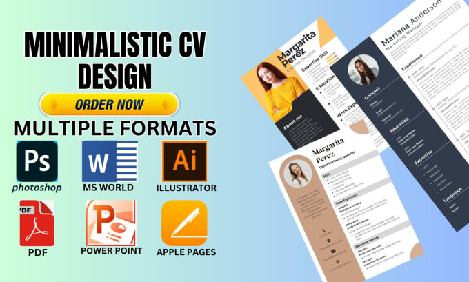 Gig Preview - Make profesional cv resume design , cv writer , resume maker