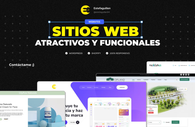 Gig Preview - Sitios web atractivos y funcionales