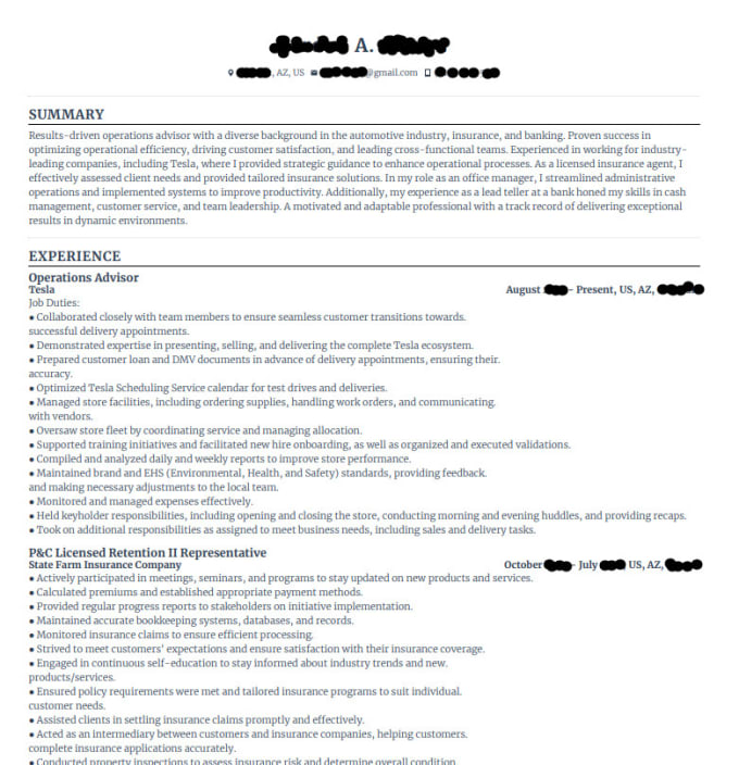 Gig Preview - Create your work resume