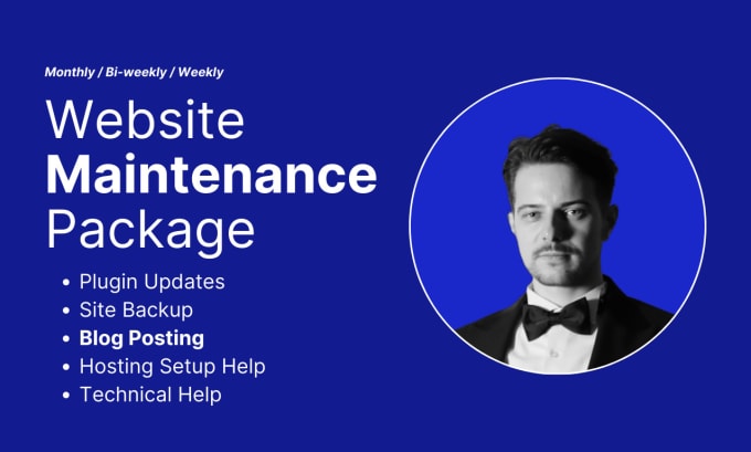 Gig Preview - Do wordpress website maintenance, updates, edits, and help